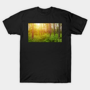 Green forest panorama and shining sun T-Shirt